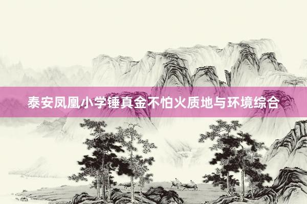 泰安凤凰小学锤真金不怕火质地与环境综合