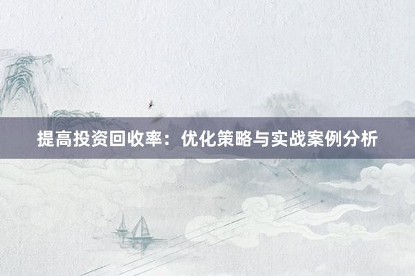 提高投资回收率：优化策略与实战案例分析