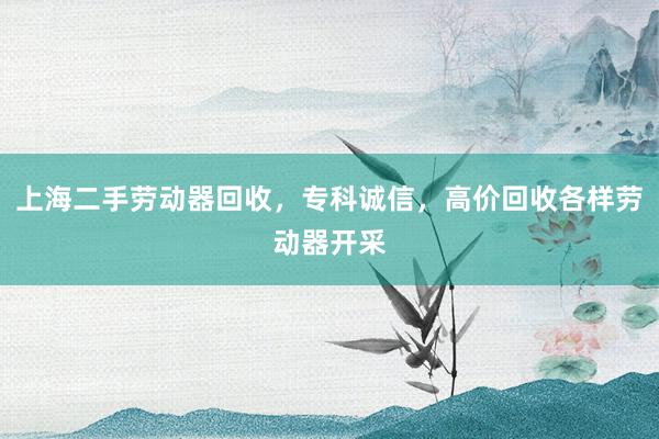 上海二手劳动器回收，专科诚信，高价回收各样劳动器开采