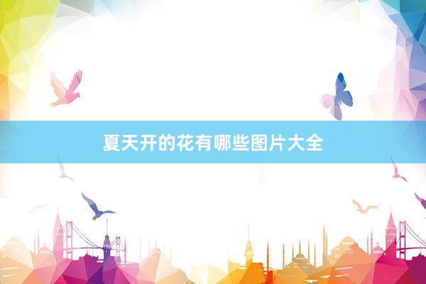 夏天开的花有哪些图片大全