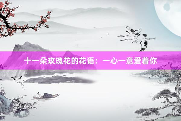 十一朵玫瑰花的花语：一心一意爱着你